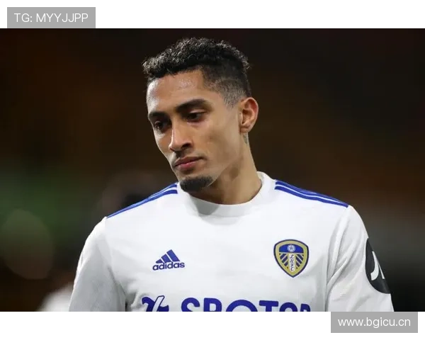 拉菲尼亚利兹联时期进攻核心作用解析